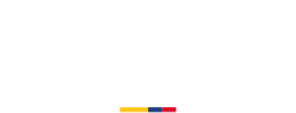 Superintendencia de Transporte